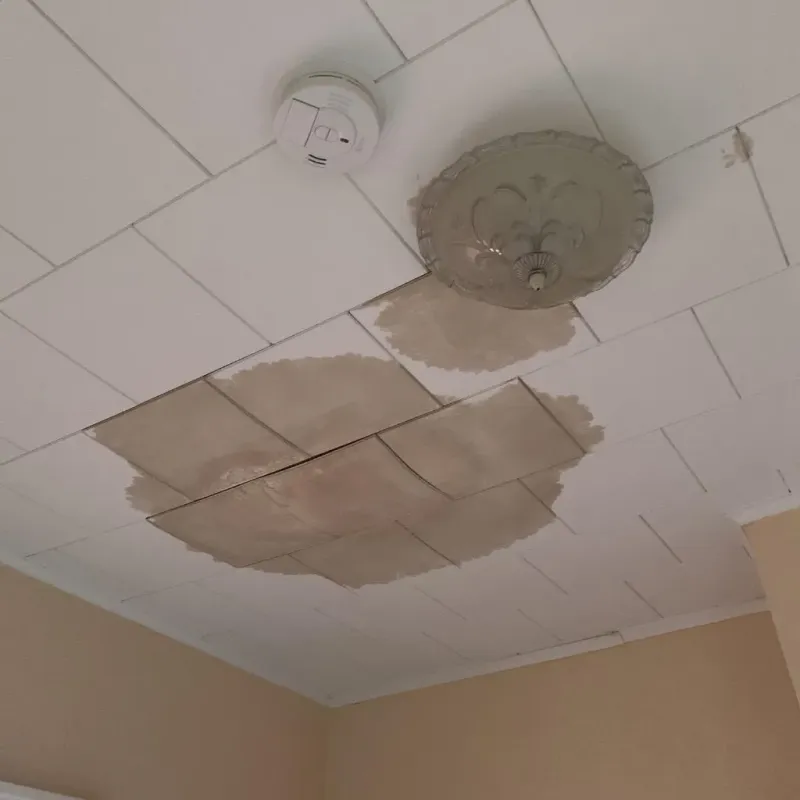 Ceiling Water Damage Repair in Henderson County, NC