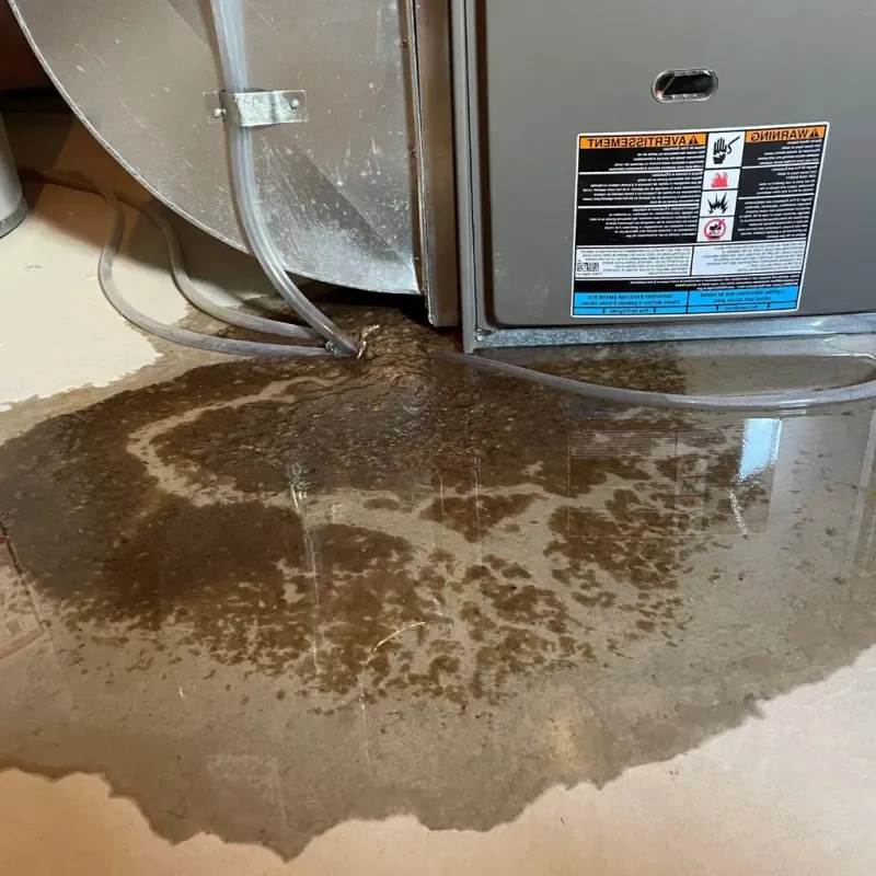 Pipe Burst and Leak Restoration in Henderson County, NC
