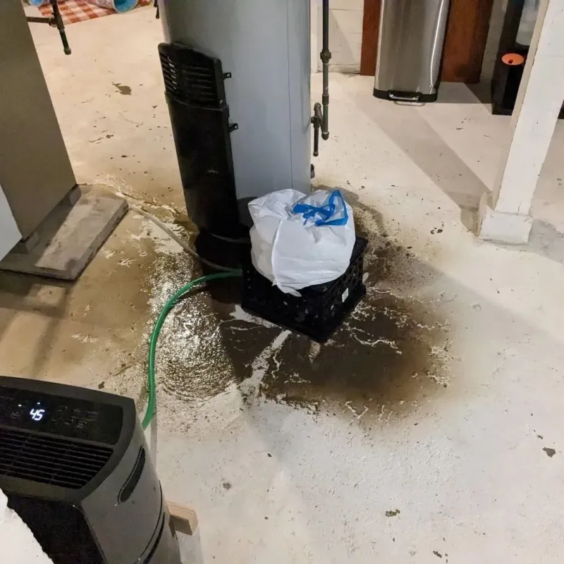 Sewage Backup Cleanup Service in Henderson County, NC